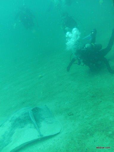 Me n’ a Great Southern Stingray