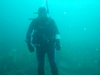 Underwater Portrait - Catalina, CA