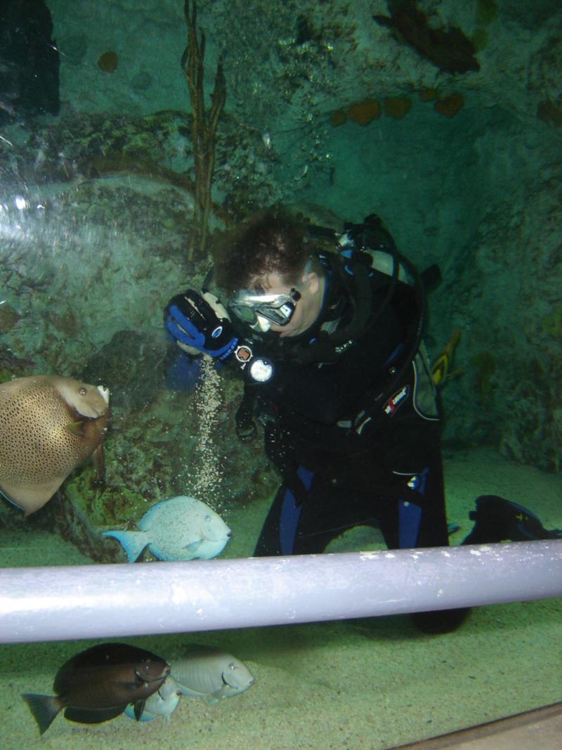 Playing in the National Aqaurium