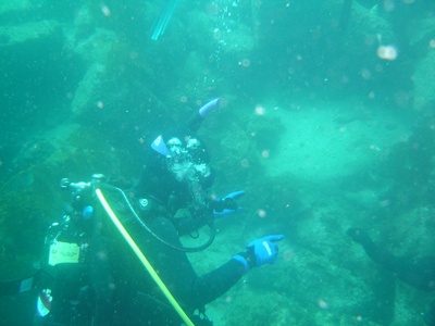 Catalina Island eel