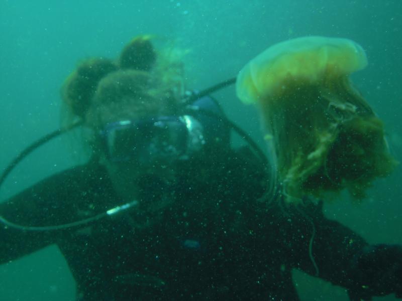 Me and jellyfish in BC