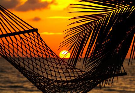 tequila sunset