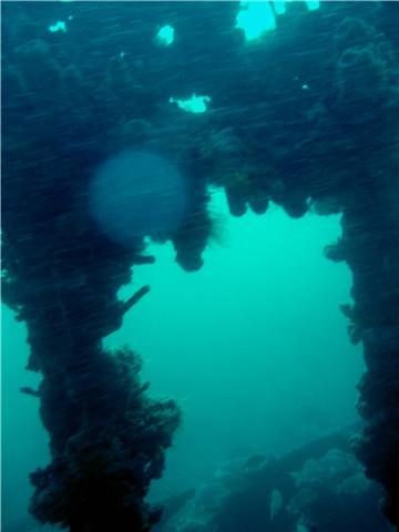 Bow, Wreck of the Rhone, Salt Island, BVI