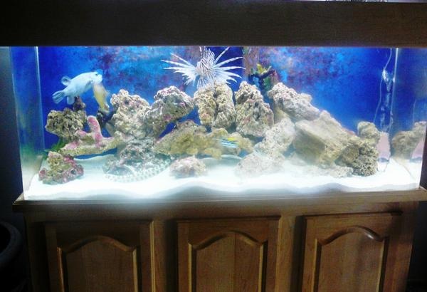 My Kids house