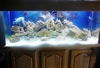 My Kids house