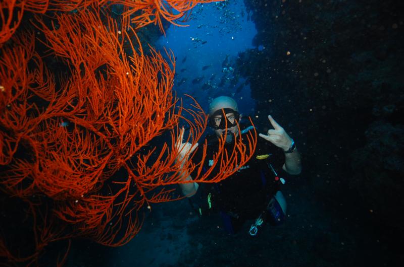 Great Barrier Reef Dive