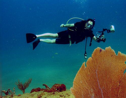 Photo Diver