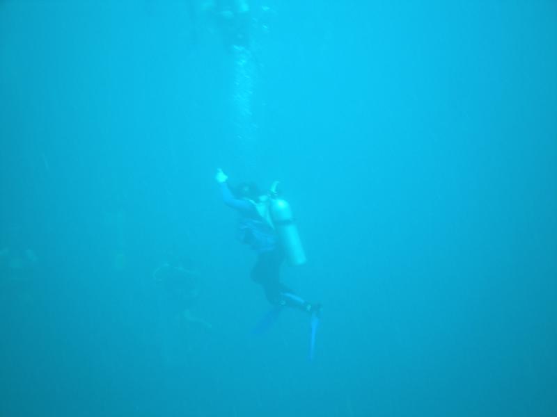 Diving with my daughter