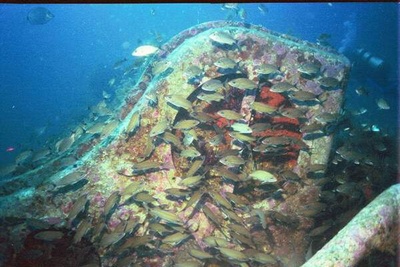 Frist deepwater looking up @ shipwreck Schurz