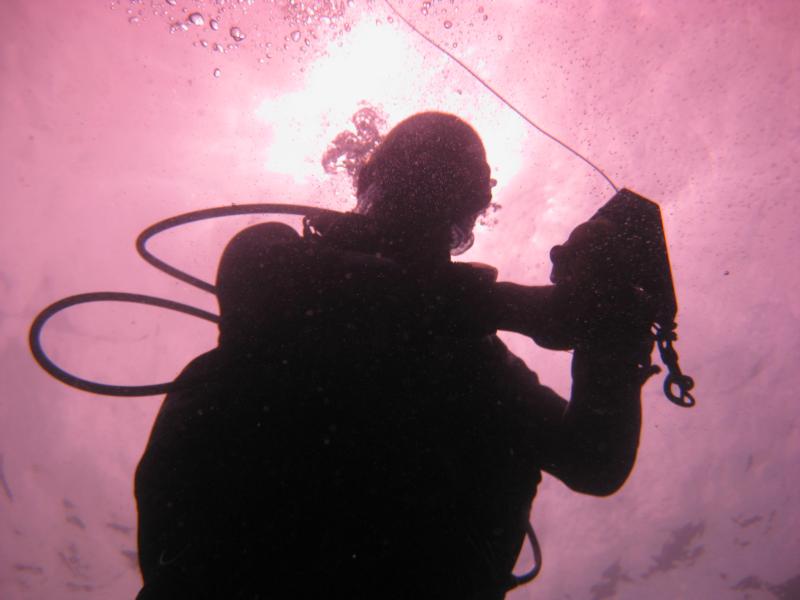 Paul (My Instructor) Backlit