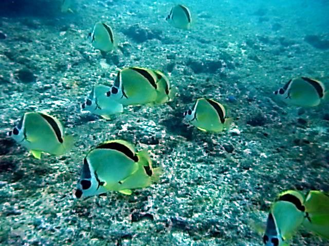 San Juan del SUR Nicaragua 