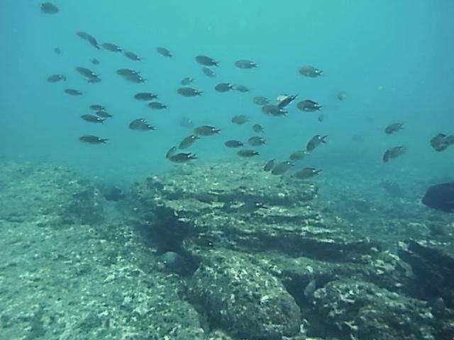 San Juan del SUR Nicaragua 