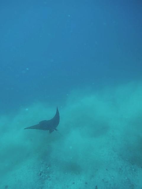 San Juan del SUR Nicaragua 