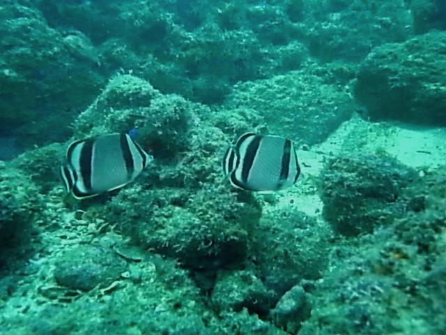 San Juan del SUR Nicaragua 