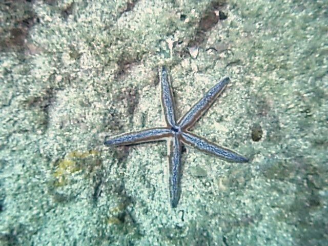 San Juan del SUR Nicaragua 