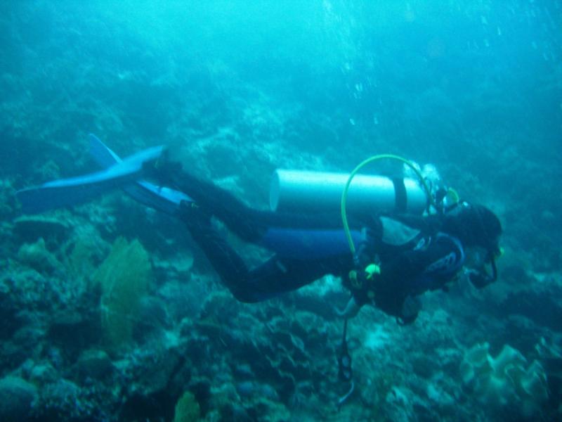 gliding through the reef in Moalboal, Cebu