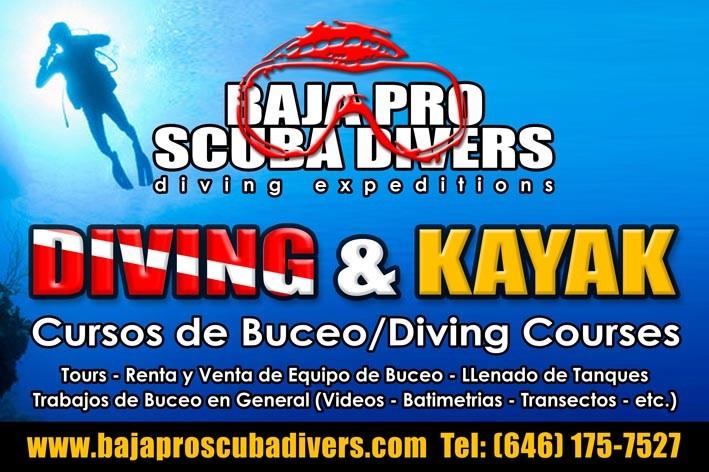 Baja Pro Scuba Divers