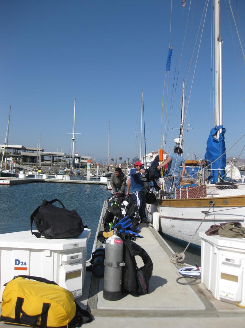 sail and dive