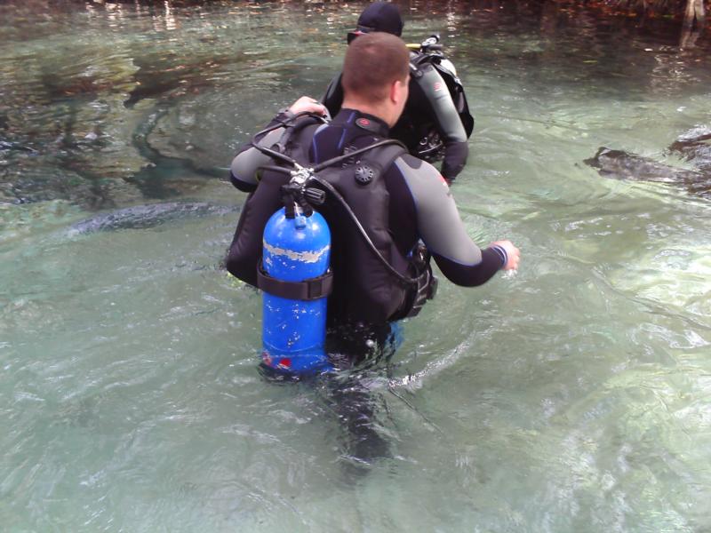 Diving Ginnie Springs