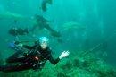 Exumas Aquacat