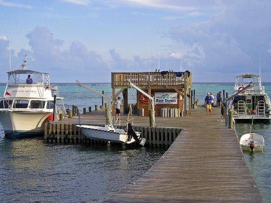 Reef Divers