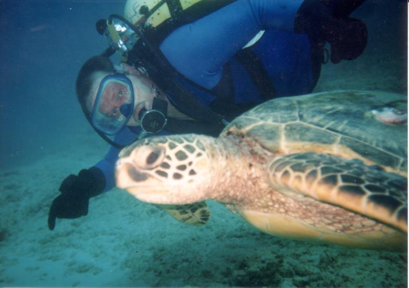 Hawii Turtle