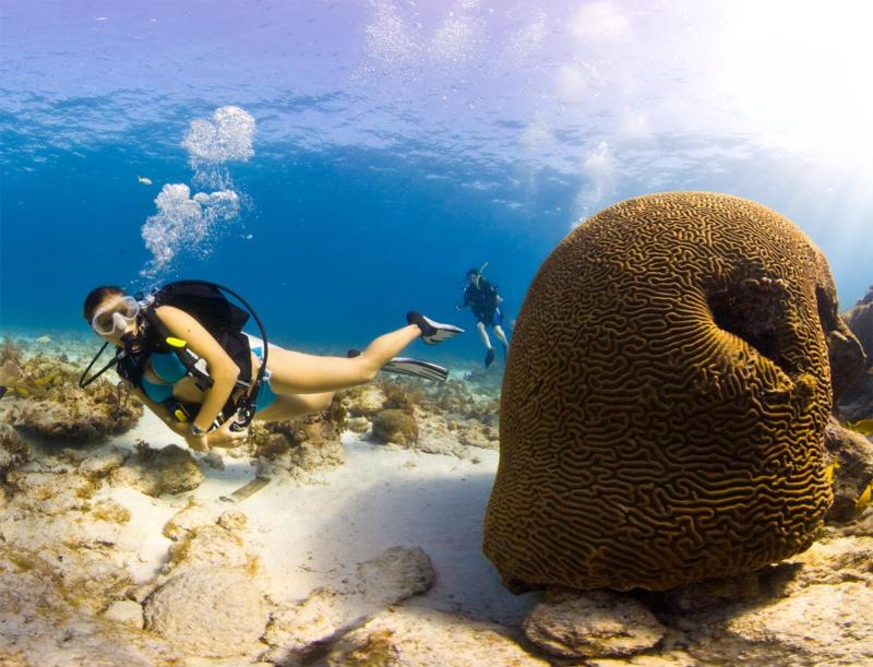 pretty diver in Key Largo