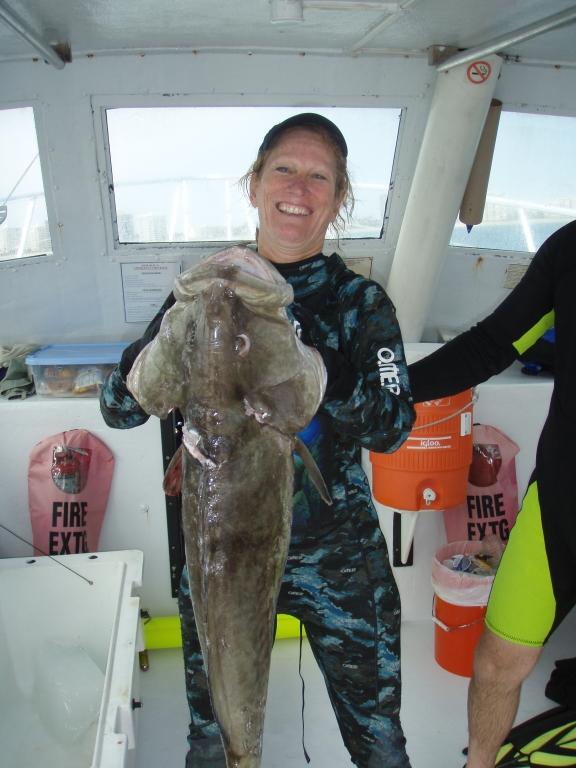 My 1st G Grouper, 35lb, Apr 2009