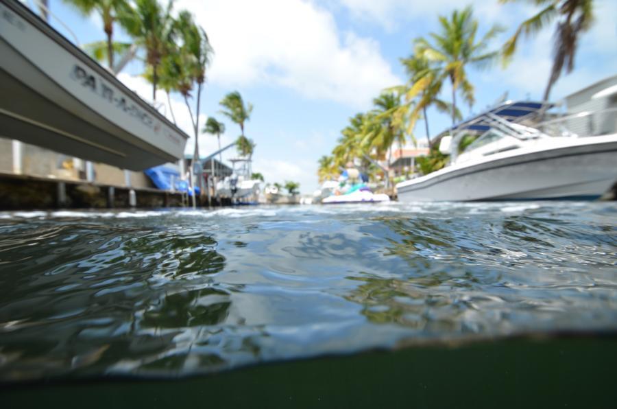 Close focus Key Largo canal wide angle