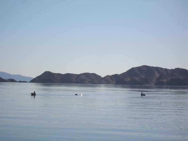 Bahia de los Angeles