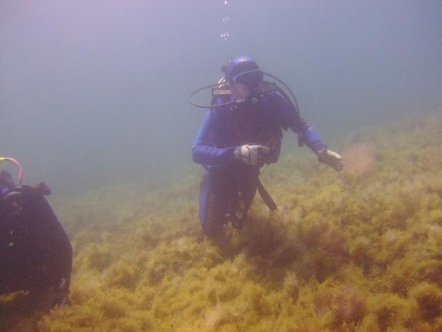 Stavros beach Dive-  Khania-Crete 