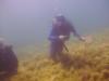 Stavros beach Dive-  Khania-Crete 