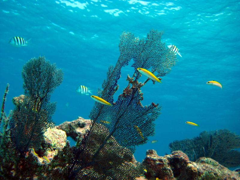 Key Largo