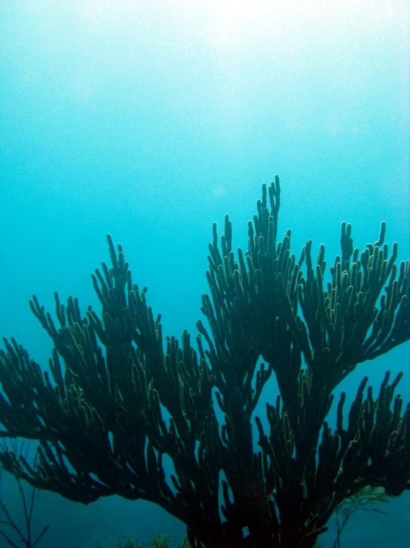 Key Largo