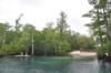 Morrison Springs, FL