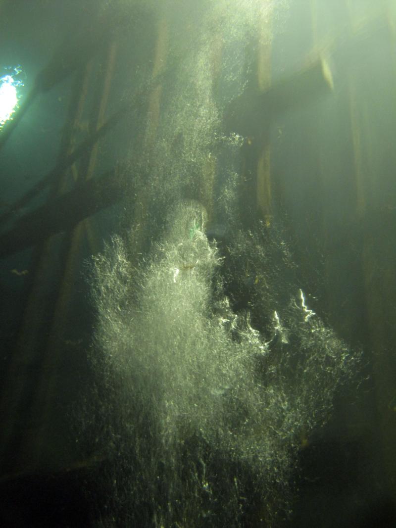 Bonne Terre Mine, MO