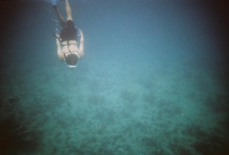 Snorkeling, Key West 