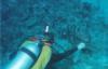 Sandi with Grouper-Belize