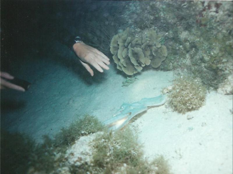 Sandi and Octopus-Belize