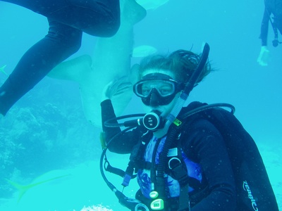 Nice sharky