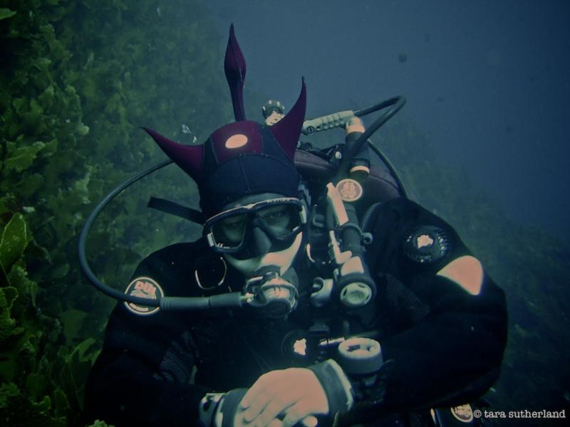 The Devil in Me - Northern Arch, Poor Knights Islands