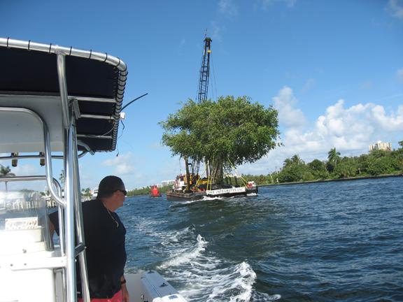 Tree Boat