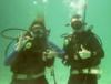 Diving at Pennekamp
