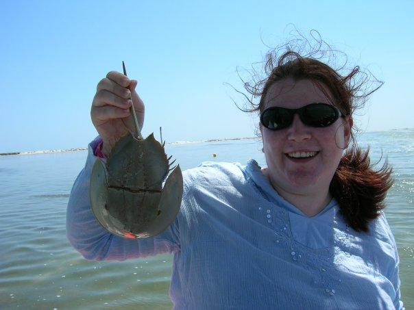 Me and a Mexican Horseshoe Crab