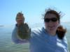 Me and a Mexican Horseshoe Crab