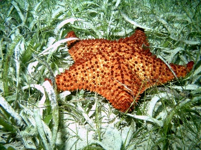 Culebra `05