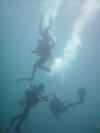 One of my fav dive picture from our old dive group