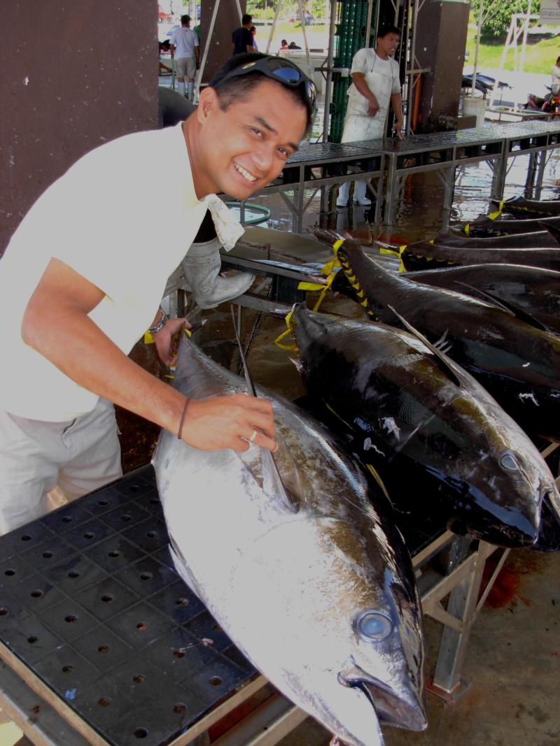 yellow fin tuna
