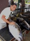 yellow fin tuna