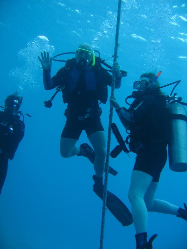 Red Sea reef